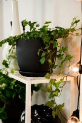 Donica Klasik wys. 17cm, średnica 21cm - Doniczka Klasik- ceramiczna - to idealny wybór dla miłośników klasycznego stylu wnętrz.